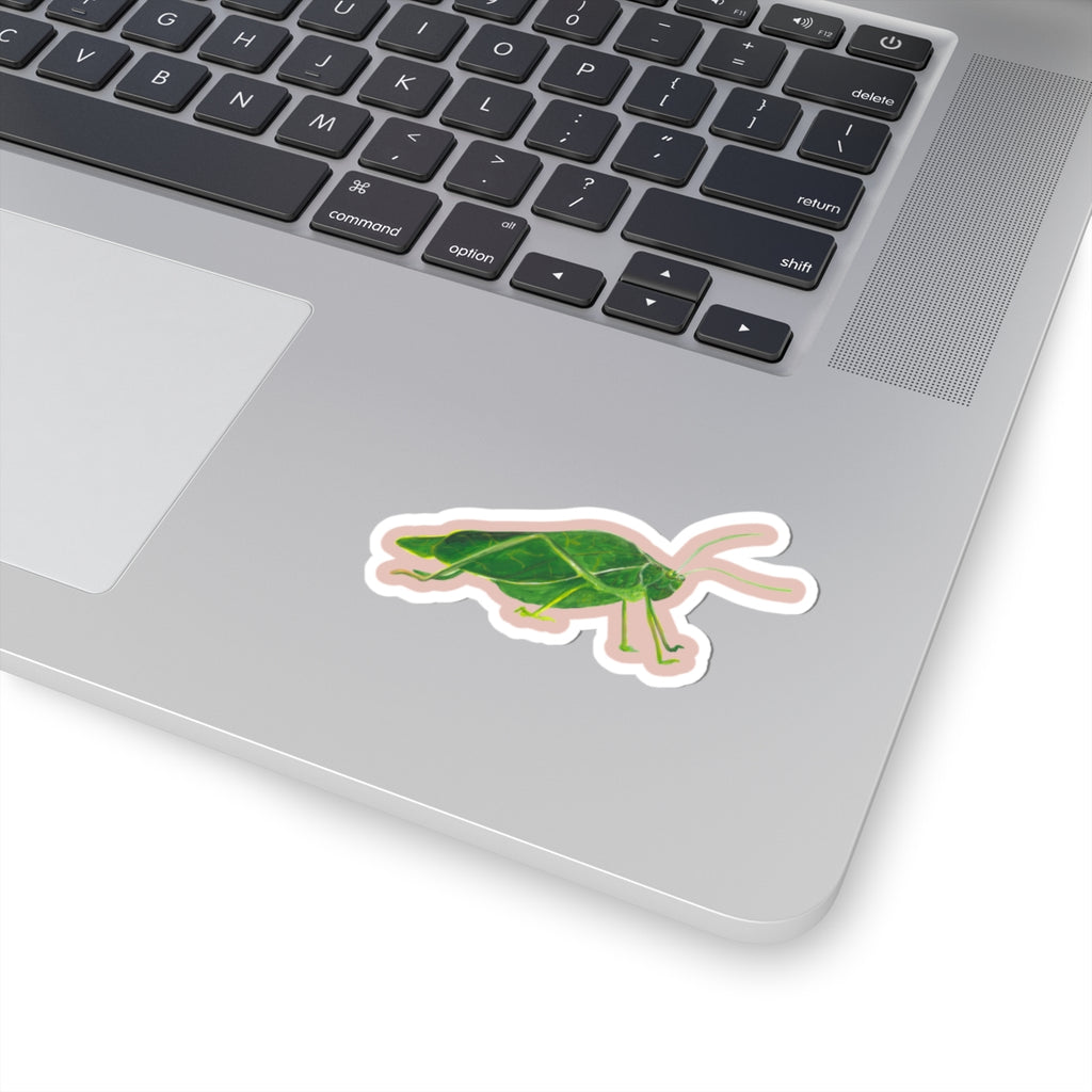 Leaf Grasshopper Sticker (Katydid) — Cute Eco-Friendly Insect Decal for Laptops & Water Bottles