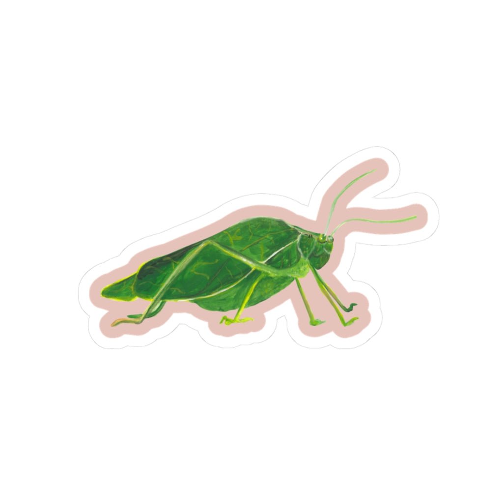 Leaf Grasshopper Sticker (Katydid) — Cute Eco-Friendly Insect Decal for Laptops & Water Bottles